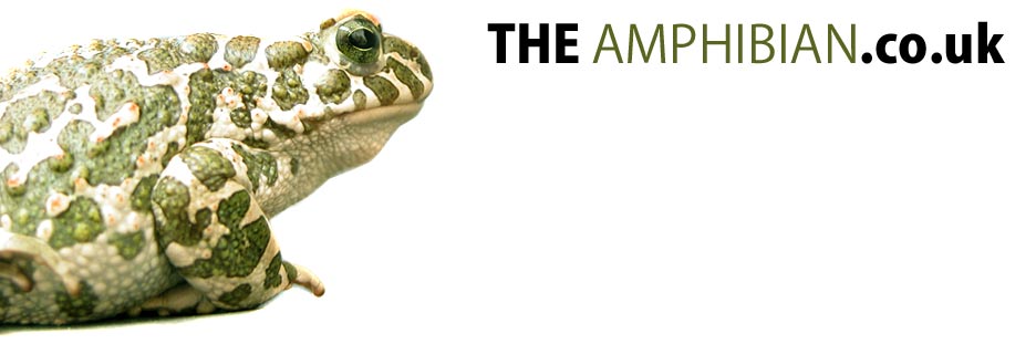 The Amphibian.co.uk - Amphibian Facts, Caresheets, Forums, Photos, Downloads and more, Frogs, Newts, Salamanders, Caecilians